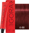 Schwarzkopf Professional Igora Royal 6-88 - 60 ml