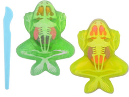 Science Explorer Kikker Anatomie Slijm