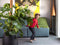 Goed & Groen - Monstera Deliciosa met mosstok - Gatenplant - XL -↨ 150cm - Potmaat 27 - Exclusieve Kwaliteit Planten - Kamer Plant - Kamerplanten - Sfeer - Interieur
