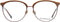 Scotch & Soda SS3015 53407 bril zonder sterke - Dames - Goudkleurig