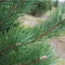 Scots Pine | Mini tumbler | 100% natuurlijke soja was en etherische oliën | >20 uur genieten | Handgemaakt op Skye in Schotland