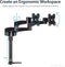Screen Table Support Startech ARMDUAL