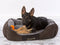 Scruffs Chester Box Bed - L - Grijs