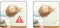 Stopcontact Beveiliging - 30 Stuks - Geschikt voor Nederland - Wit (30 stuks)