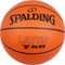 Basketball Indoor/Outdoor Layup TF-50