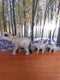 Olifant - 3 in een rij - Grijs - 54x12x23cm