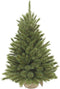 Triumph Tree Forest Frosted - Kunstkerstboom - H90 x Ø62 cm - Groen