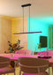 EGLO connect.z Fraioli-Z Hanglamp - 105,5 cm - RGB & wit licht - Zwart