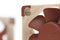 Noctua NF-A4x10 PWM - Ventilator 40mm - 19,6dB(A) - Beige/Rood