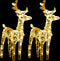 vidaXL - Kerstrendieren - 2 - st - 80 - LED's - acryl - warmwit