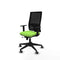 Piqueras y Crespo 1D066G0 - Bureaustoel - Verstelbare hoogte met armleuning - Pistache