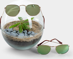 Biodome Biophytum - Terrarium - 17 cm