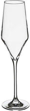 Secret de Gourmet Clarillo champagneglazen 22cl - Set van 6 - Transparant