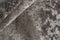 Seduction 840177 Vloerkleed - 200x300 - Rechthoek - Laagpolig Tapijt - Modern - Beige, Taupe