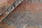 Seduction 840234 Vloerkleed - 200x300 - Rechthoek - Laagpolig,Vintage Tapijt - Klassiek - Meerkleurig
