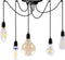 Segula Phoenix hangende plafondverlichting Flexibele montage Zwart E27 A,A+,A++,B,C,D,E