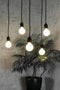 Segula Phoenix hangende plafondverlichting Flexibele montage Zwart E27 A,A+,A++,B,C,D,E