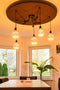 Segula Phoenix hangende plafondverlichting Flexibele montage Zwart E27 A,A+,A++,B,C,D,E