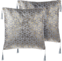 CAMELLIA - Sierkussen set van 2 - Zilver - 45 x 45 cm - Polyester