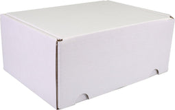 SendProof® Postpakketdoos | golfkarton | 210x160x95mm | gestanst | wit | 25 stuks