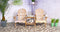 SenS-Line - Comfortline Double Relax - Beige