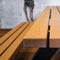 Sens-Line - Jack picknicktafel 180 cm - Zwart/Bruin