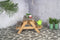 SenS-Line - Kindertafel Naturel - Picknicktafel Voor buiten - FSC 100 % Grenenhout - L 90 x B 90 x H 55 cm