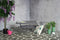 SenS-Line - Marseille Tuinbank 118cm - Grijs