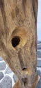 SenS-Line - Peru Teak Wine Storage - Bruin