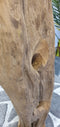 SenS-Line - Peru Teak Wine Storage - Bruin