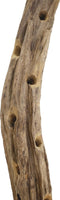 SenS-Line - Peru Teak Wine Storage - Bruin