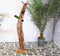 SenS-Line - Peru Teak Wine Storage - Bruin