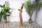 SenS-Line - Peru Teak Wine Storage - Bruin
