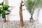SenS-Line - Peru Teak Wine Storage - Bruin
