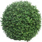 SENSE UV bestendig Buxus bol - Buiten kunst buxus - Plant Groen - Buitenplant - Tuin - Balkon Plant- Groen - UV-protected - 28cm