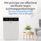 Sensede SIGNATURE™ SERIES DIGITAL HEPA AIR PURIFIER (ACD-600FD) / Luchtreiniger