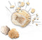 SES - Explore - Geodes open breken - echte kristallen van binnen - met 3 geodes stenen - Experimenteerdozen