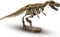 SES - Explore - T-rex skelet opgraven - opgravingsset dino - met houten beitel en hamer - Dinosaurus Speelgoed