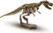 SES - Explore - T-rex skelet opgraven - opgravingsset dino - met houten beitel en hamer - Dinosaurus Speelgoed
