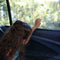 SES - Raamstickers - 38 herbruikbare raamstickers - vakantie thema