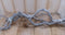 Set Krulhout Wit 40-60 cm