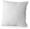 Set van 2 kussenslopen - HOME LINGE PASSION - 63 x 63 cm - Wit