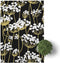 Set van 2 theedoeken Golden sprouts | Blanc