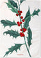 Set van 2 theedoeken Mistletoe | Happy Friday