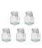 Set van 5 Glazen kruidenpotjes (90 ml)