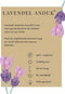Set van 6 Franse Lavendels - Lavandula stoechas Anouk® 12 cm Ø - Lavendel planten - vers van de kwekerij geleverd - Bij en vlinder vriendelijke planten