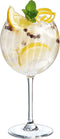 Set van gin-en-tonicbekers Chef & Sommelier Symetrie 6 Stuks Glas 580 ml