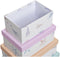 Set van opstapelbare opbergboxen DKD Home Decor Navy Karton (43,5 x 33,5 x 15,5 cm)