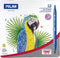 Set Viltstiften Milan Multicolour Dubbelzijdig/dubbele classificering