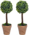 vidaXL - Kunstplanten - met - pot - 2 - st - buxus - bolvorming - 41 - cm - groen